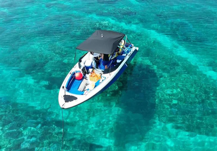 WAVE BOAT チャーター